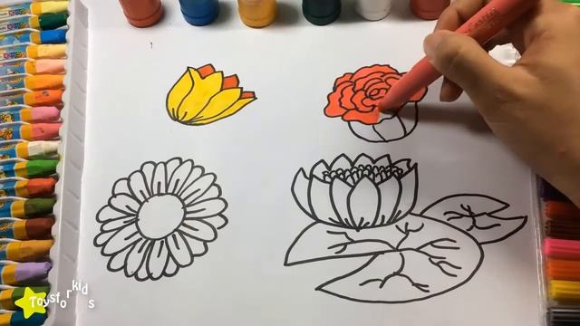 Цвета для детей, чтобы учиться с цветами, как рисовать цветы, цвета для детей, чтобы учиться смотреть онлайн