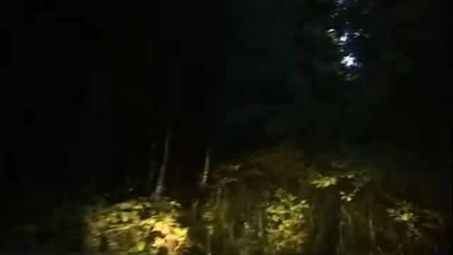 брянская повесть
