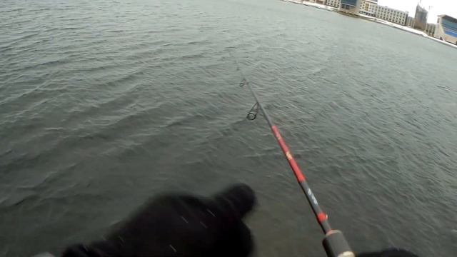 Рыбалка на городском озере. Стритфишинг.