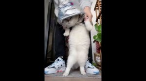 НОВЫЕ ПРИКОЛЫ ТИК ТОК ? КИТАЙСКИЙ ТИК ТОК 2021? ЛУЧШИЕ ПРИКОЛЫ ? ТИК ТОК ВИДЕО ❤️