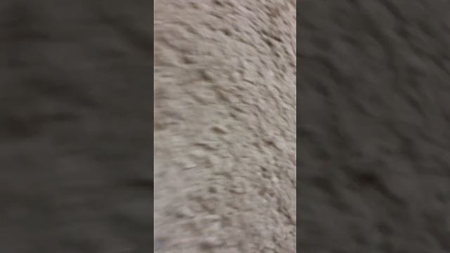 Севодня новый канал и телефон смотреть онлайн