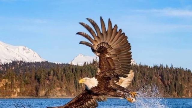 обращение к вам :33 смотреть онлайн