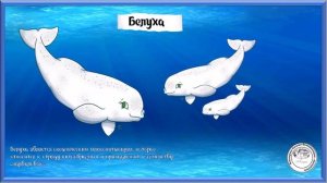 Млекопитающие животные