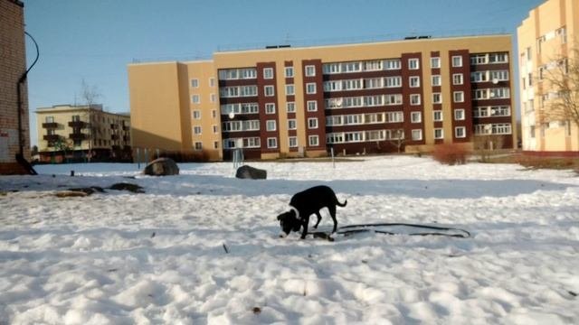 солнечный день.март