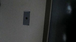 Электрический лифт V=0,71 м-с, грузоподъемность 320 кг (582)