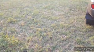 Открытие сезона охоты по перу! Астраханская область 2020 год.