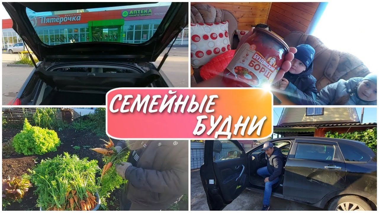 Поехали на ДАЧУ убирать огород//наш урожай//морковь//обзор покупок//что мы готовим//моя семья//влог