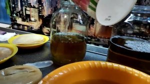 Как ленивые хозяйки?? ухаживают за "Чайным грибом"