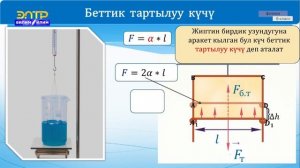 8-класс | Физика |  Беттик тартылуу. Беттик тартылуу күчү