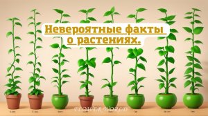 Невероятные факты о растениях. Откройте для себя невероятный мир.