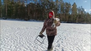 "Жизнь на пенсии"..Ездили с внуком на рыбалку за Лугу.