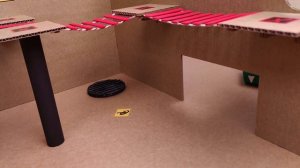 ??Snake Hamster Maze with Traps - obstacle course