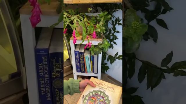 В этой кофейне можно также почитать очень интересные книги!
