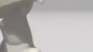 тыщ тыгыдыгыдыщ тыщ тыгыдыгыдыщ