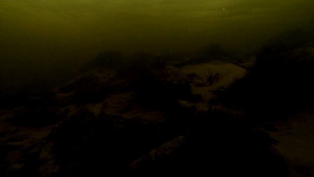 поездка на рыбалку смотреть онлайн