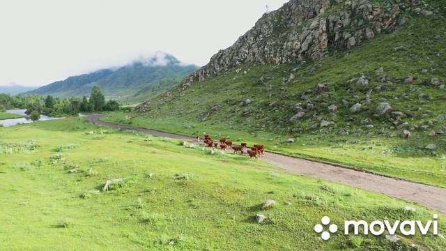 the beauty of nature.mp4 смотреть онлайн