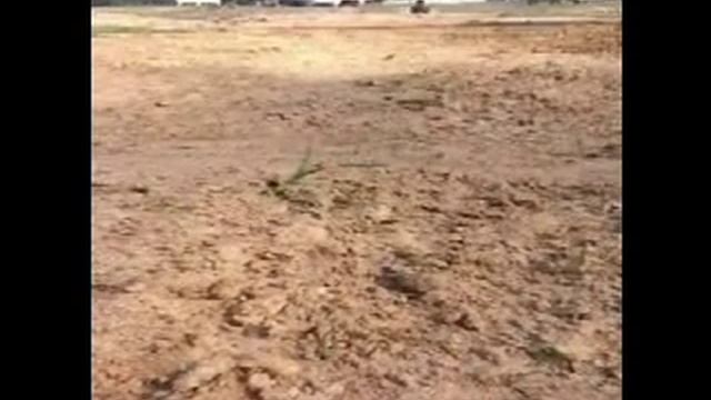 yamaha grizzly 125 смотреть онлайн