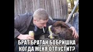 Обычный день. Звонок в полицию Кургана