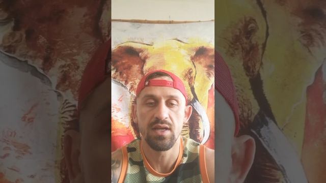 Прогноз на UFC | Алекса Грассо - Вивиан Арауджо | Ставки на MMA