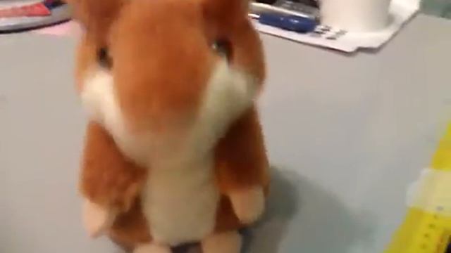 Говорящий хомяк или хомяк повторюшка - Лучшая игрушка