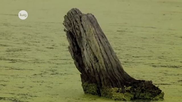 Загрязнение  Вода смотреть онлайн