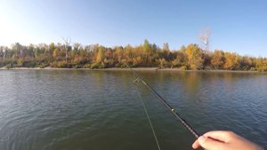 РЫБАЛКА ЖЕСТЬ! ЭТИ МОНСТРЫ РАЗГИБАЮТ КРЮЧКИ! Осенняя ловля на Джиг спиннинг