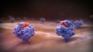 Научные открытия 21 века. БИОТЕХНОЛОГИИ