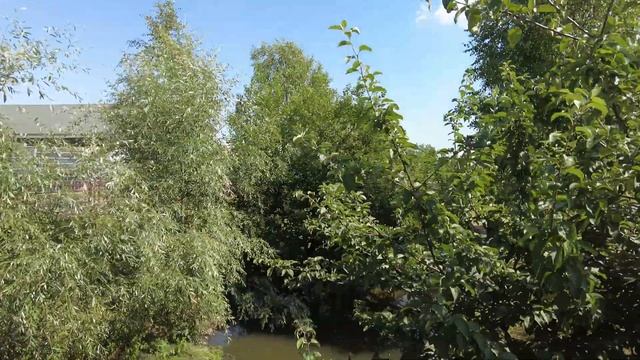 Гродненский зоопарк, Гродно, 4K, большая прогулка