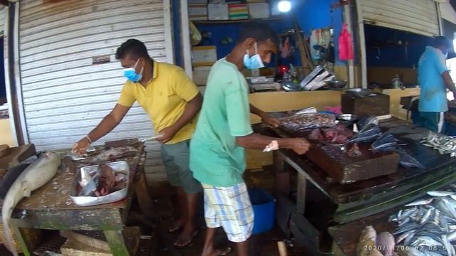 Шри ланке 2022. Рыбный рынок в Галле Шри Ланка. Рыбный рынок Хиккадува. Шри Ланка обстановка.