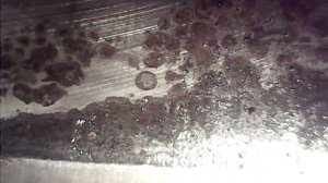 коррозия цилиндра