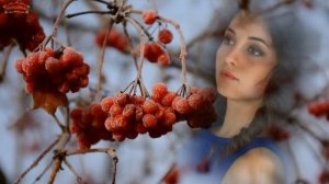 Ой,калина красная стихи Светлана Ромашина