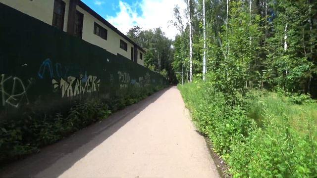 Сколково, лес в Трёхгорке