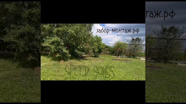 староселье забор профлист