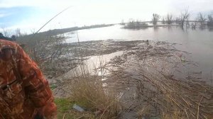 Шапсугское водохранилище- ловля щуки на живца!!! Беззубая щука!!!