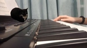 Мелодия "Максвелл кот" на СИНТЕЗАТОРЕ