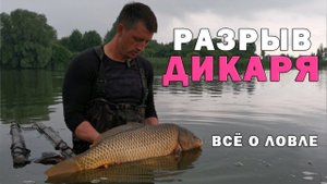 Как много ловить на ДИКАРЕ. Бешеные поклёвки сазанов. Рассказываю всё про корм, насадки, поводки.