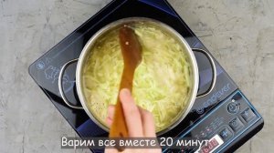 ? Щи с рисом и капустой свежей — видео рецепт