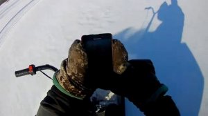 Скорость на мотособаке