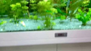 Аквариум JUWEL rio 125(белый)