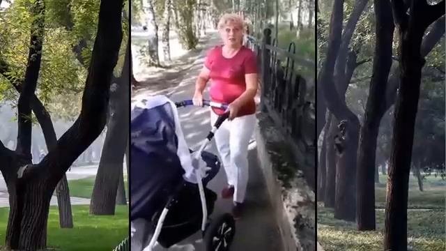 Мы не аномалия!