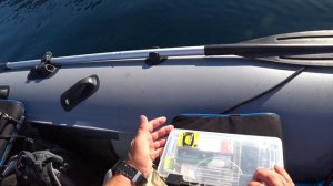 Ловля луфаря на Черном море