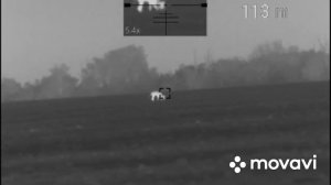 Охота на Волков ? ночью