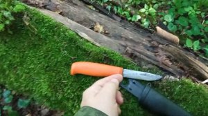 Какой нож выбрать для леса?