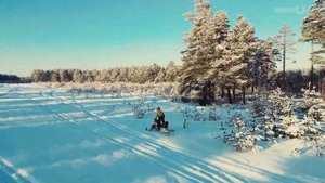 IRBIS SF200 SuperLong: врываемся в 2024!