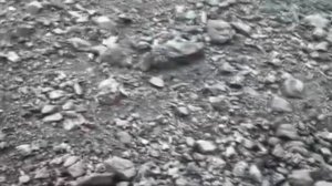 Уголь каменный Марки ДР рядовой#ДО сортовой Транзитные Оптовые Продажи