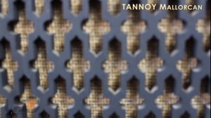 TANNOY Mallorcan -- 12" Gold Monitor