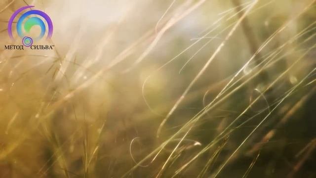Душевное и внутреннее равновесие - упражнение по методу Сильва