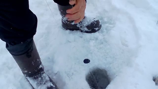 Залесовский район. Чумыш. 31.12.2015. Налим. Подарок на новый год. смотреть онлайн