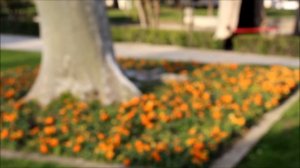 Гид по Стамбулу. Дворец султана Сулеймана Топкапы. Где снимали Великолепный Век / Topkapi Palace