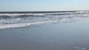 Люда Флорида Ялта отшила 72-летнего пенсионера. FloridaYalta на свидание с американцем.